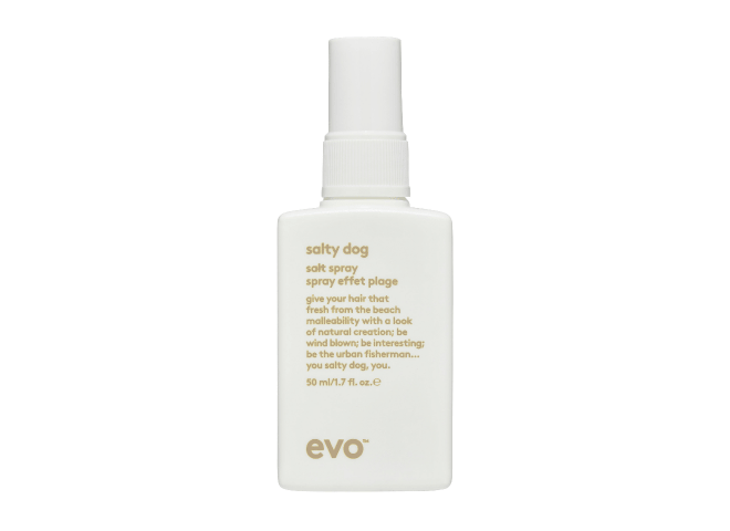 SPRAY EFFET PLAGE - SALTY DOG