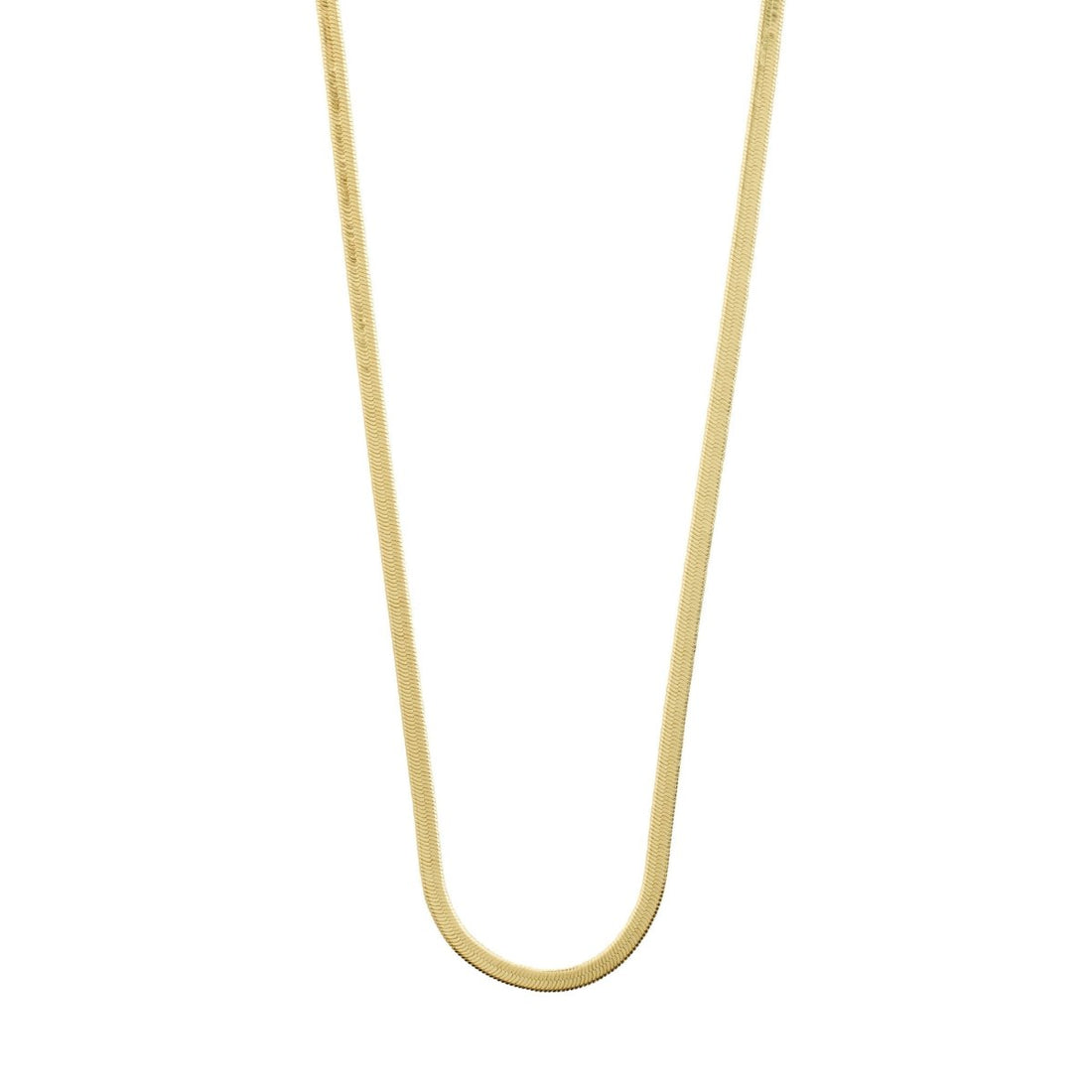 COLLIER JOANNA